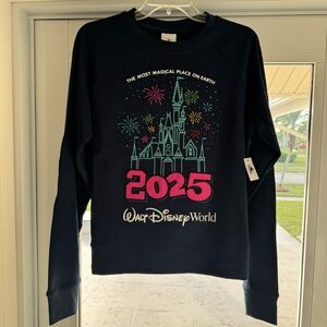 2025 Walt Disney World Cinderella Castle Sweatshirt